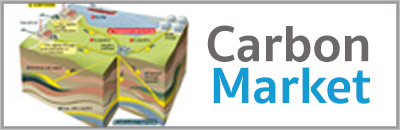 Carbon Market