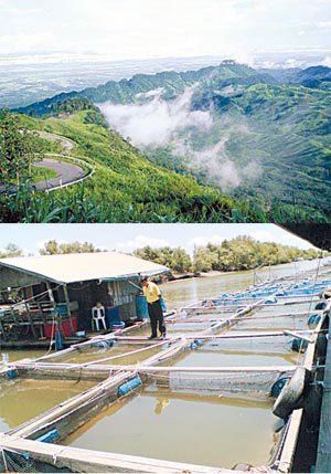 daylinew