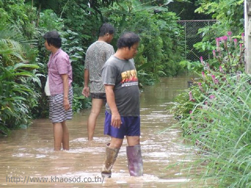pare flood