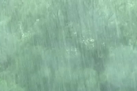 ภาคใต้ฝนตกหนักคลื่นลมแรง