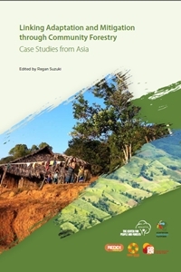 Linking Adaptation and Mitigation