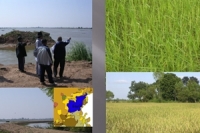 การปรับตัวของชุมชนในพื้นที่ประสบภัยซ้ำซาก