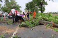 พายุฝนถล่มสงขลา เสาไฟฟ้าโค่นระเนระนาดกว่า 20 ต้น 