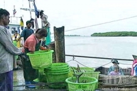 กระบี่ - ฝนตกหนัก คลื่นแรง เรือประมงออกหาปลาได้น้อยลง
