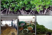 โครงการเรียนรู้เพื่อรับมือต่อการเปลี่ยนแปลงภูมิอากาศ