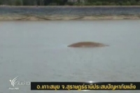 สุราษฎร์ธานีประกาศ อ.เกาะสมุย อ.เกาะพะงันเป็นพื้นที่ภัยพิบัติภัยแล้ง