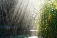 กรมอุตุ&#039;พยากรณ์อากาศ ไทยร้อน-มีฝนฟ้าคะนอง