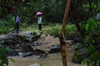 ตรังปิดน้ำตก 6 แห่งหวั่นน้ำหลาก 