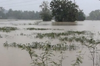 ฝนกระหน่ำ กำแพงเพชร เจอน้ำป่า อ่วม