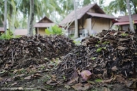 ดินสะสมคาร์บอนได้ มาก – น้อย 