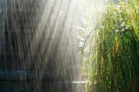 อุตุชี้ไทยอากาศร้อน มีฝนฟ้าคะนอง-ลมแรงบางแห่ง 
