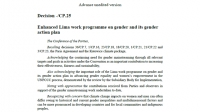 Enhanced Lima work programme on gender