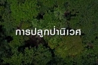 video clip ตอนที่ 1 ป่านิเวศ (Eco-Forest) 