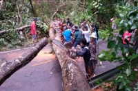 เชียงใหม่ฝนถล่มพังรั้วโรงเรียน ต้นไม้ล้มขวางทางจราจร