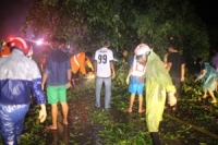 ตะกั่วป่าอ่วม พายุฝนถล่ม ต้นไม้โค่นขวางถนน จร.อัมพาต 2 ชม.-ถนนทรุด