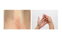 การทำนายสภาพภูมิอากาศจากพฤติกรรมของมนุษย์