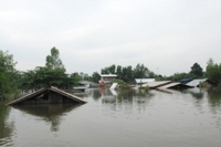 ชุมชนเมืองศรีสะเกษยังท่วมสูงเกือบมิดหลังคา-จมนาน 11 วัน