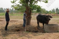 อุตุฯ รายงานสภาพอากาศ เหนือ-อีสาน-กลางอุณหภูมิ 40 องศาฯ