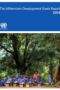 The Millennium Development