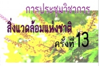 การประชุมวิชาการสิ่งแวดล้อมแห่งชาติครั้งที่ 13