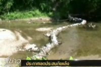 ผู้ว่าฯนครศรีธรรมราชประกาศให้ 8 อำเภอเป็นพื้นที่ประสบภัยพิบัติแล้ง