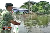 ชาวอุทัยธานีโยนอีเอ็มบอลฟื้นฟูน้ำเน่าเสีย