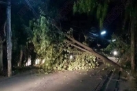 พายุลมหนาวถล่มเมืองศรีสะเกษ