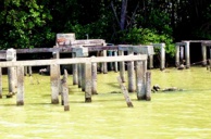 แนวทางแก้ปัญหาการกัดเซาะชายฝั่ง